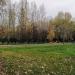 Площадка для выгула собак в городе Москва