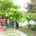 Кафе в городе Сочи