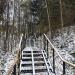 Лестница для спуска на Гучковку в городе Химки