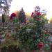 St. Rochus Cemetery (Rochusfriedhof) (en) in Stadt Nürnberg