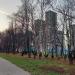 Лесополоса в городе Москва