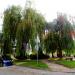Zieleniec in Olsztynek city