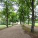 Allee in Stadt Potsdam