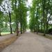 Allee in Stadt Potsdam