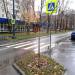 Нерегулируемый наземный пешеходный переход в городе Москва