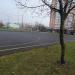 Баскетбольная площадка в городе Москва