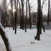 «Народный парк» в городе Москва