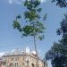 Сімейне дерево родини Дятлових (uk) in Lviv city