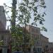 Сімейне дерево родини Реверчуків (uk) in Lviv city