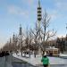 Каштановая роща в городе Москва