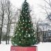 Место установки Новогодней ёлки в городе Москва