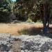 Part of the ancient necropolis Korakonero (en) στην πόλη Ρόδος (πόλη)