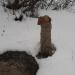 Водоразборная колонка в городе Москва