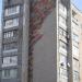 ул. 9 Мая, 88 в городе Евпатория