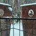 Могила четы Свинтковских в городе Москва