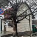 Ремонт обуви в городе Голицыно