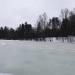 Дмитровский (Голицынский) пруд в городе Голицыно
