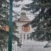 Храм Александра Невского в городе Голицыно