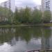 Салтыковский пруд в городе Москва