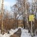 Пешеходная дорожка в городе Москва