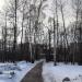Пешеходная дорожка в городе Москва