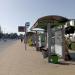 Bus Trolleybus Stop Dworzec PKS 02 in Lublin city