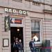 Red Dog Saloon in Nottingham city