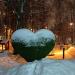 Топиарная фигура «Сердце» в городе Москва