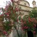 Cappella (Suore des Vincenzo?) in Comune di Catania city