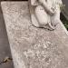 Tomba di Eugenio Tomaselli in Comune di Catania city