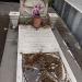 Tomba di Agatino la Rosa in Comune di Catania city