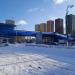 Надземный пешеходный переход в городе Красногорск
