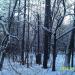 Деревянный столб в городе Москва