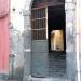 Via Testulla, 100 in Comune di Catania city