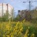 Секции 2, 3, 4 в городе Вышгород