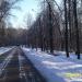 Пешеходный мост в городе Москва