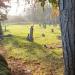 Basford Cemetery in Nottingham city