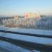 Густой лесок в городе Череповец