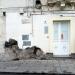Via Reitano, 54-62 in Comune di Catania city