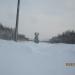 Разделительная полоса в городе Череповец