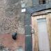 Via delle Calcare, 171-173 in Comune di Catania city