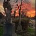Hampstead Cemetery in London city