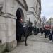 Cavalry post at Horse Guards in London city