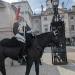 Cavalry post at Horse Guards in London city