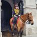 Cavalry post at Horse Guards in London city