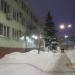 Ель в городе Череповец