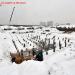 Дошкольный корпус № 5 школы № 1290 в городе Москва