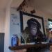 The Organ Grinder in Nottingham city