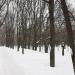 Фрагмент Старой Серпуховской дороги в городе Москва