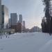 Ельник в городе Москва